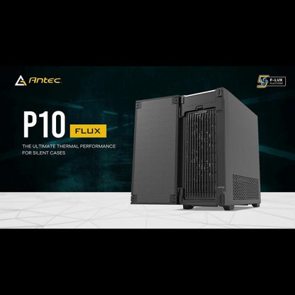 P10 FLUX