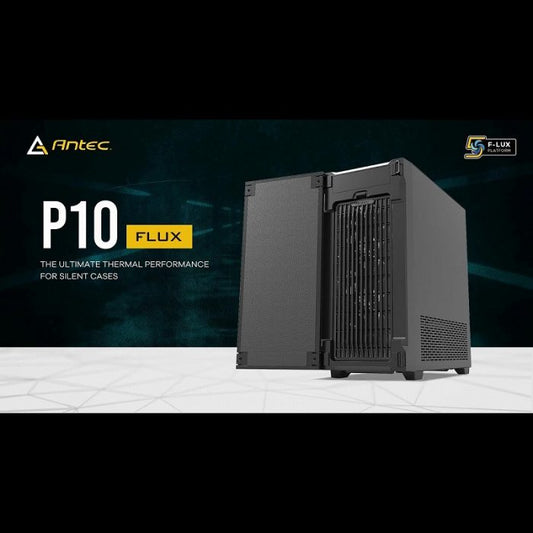 P10 FLUX